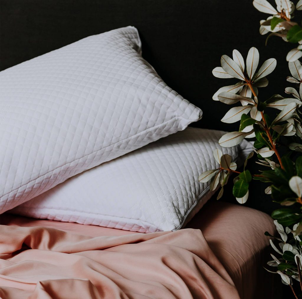 Sleepwise Pillow Protector