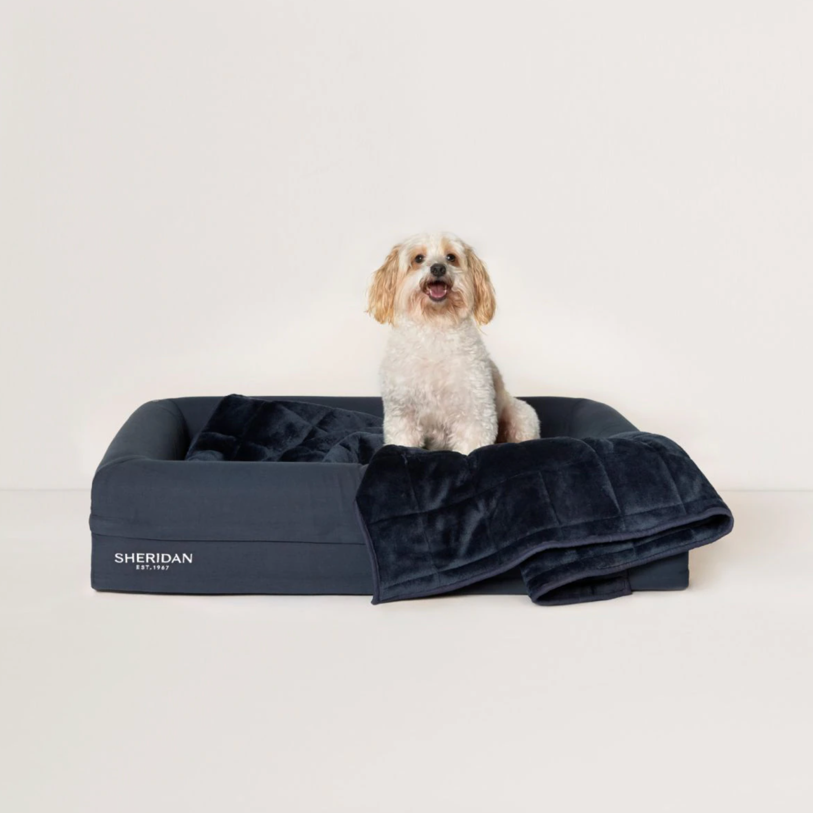 Poppet Pet Blanket
