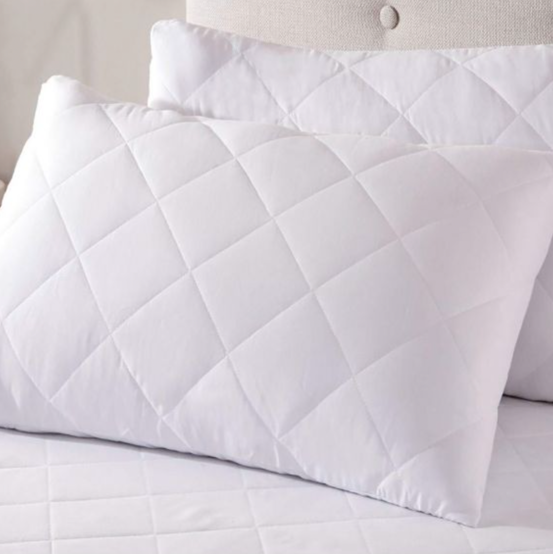 Renee Taylor Twin Pack All Cotton Standard Pillow Protector