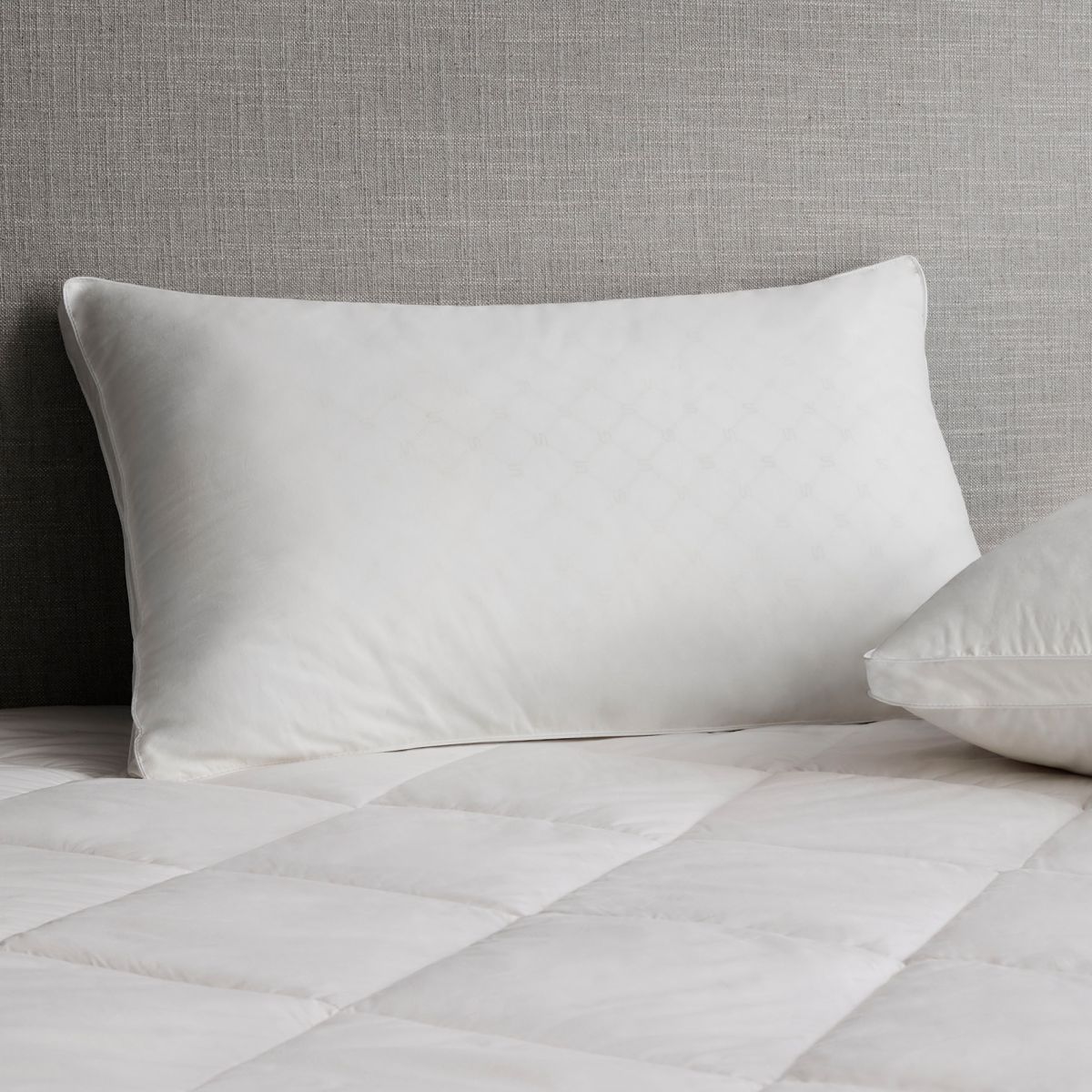 Deluxe Dream Pillow