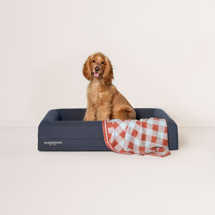 Scout Pet Blanket