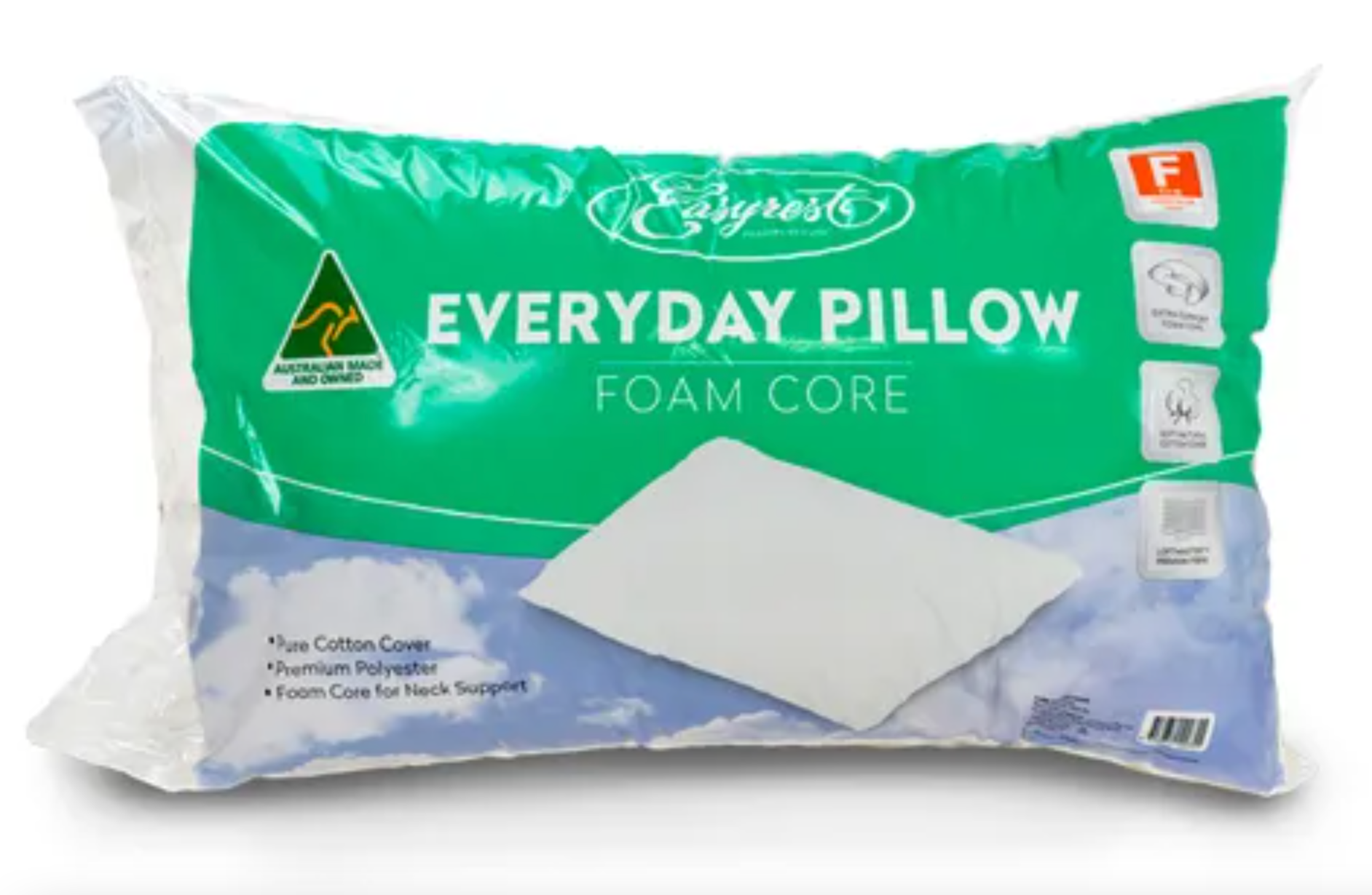 Everyday Foam Core Queen Pillow