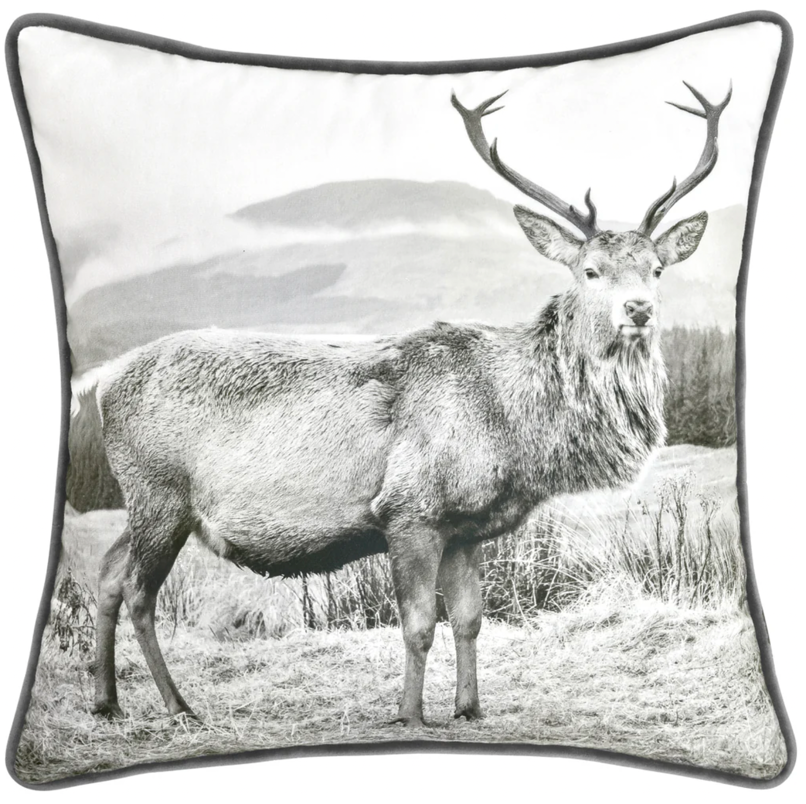 Alpine Stag Square Cushion