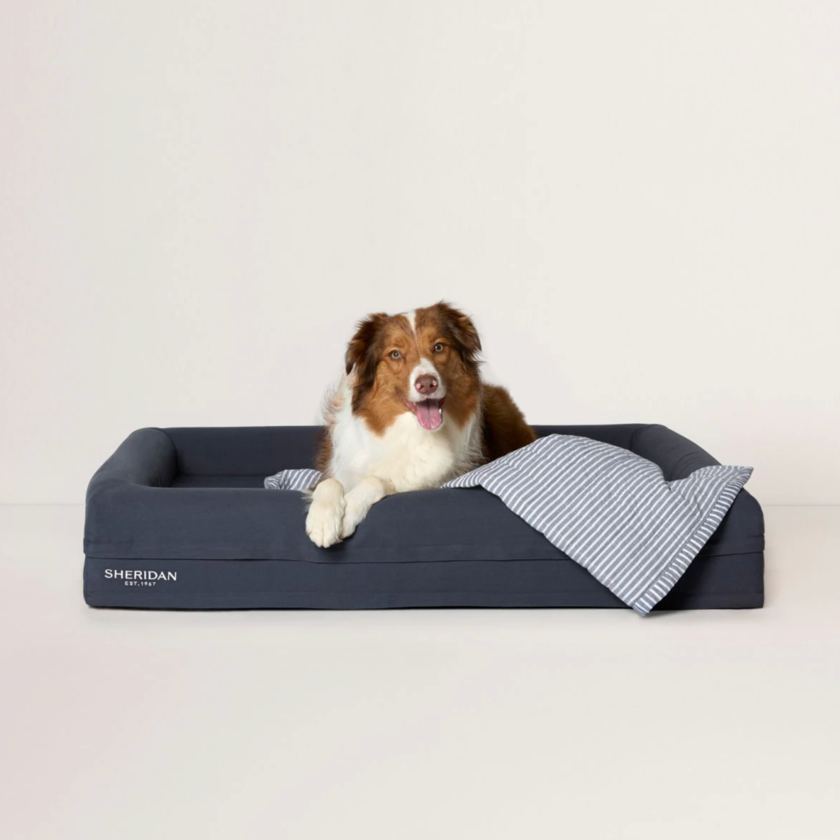 Reggie Pet Bed - The Bedroom
