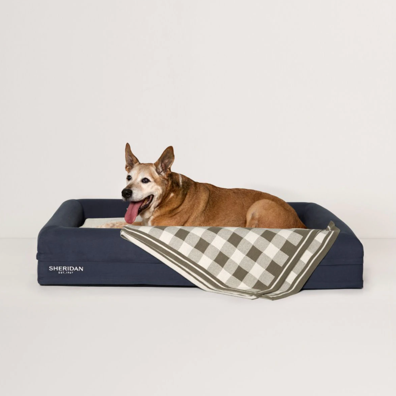 Scout Pet Blanket