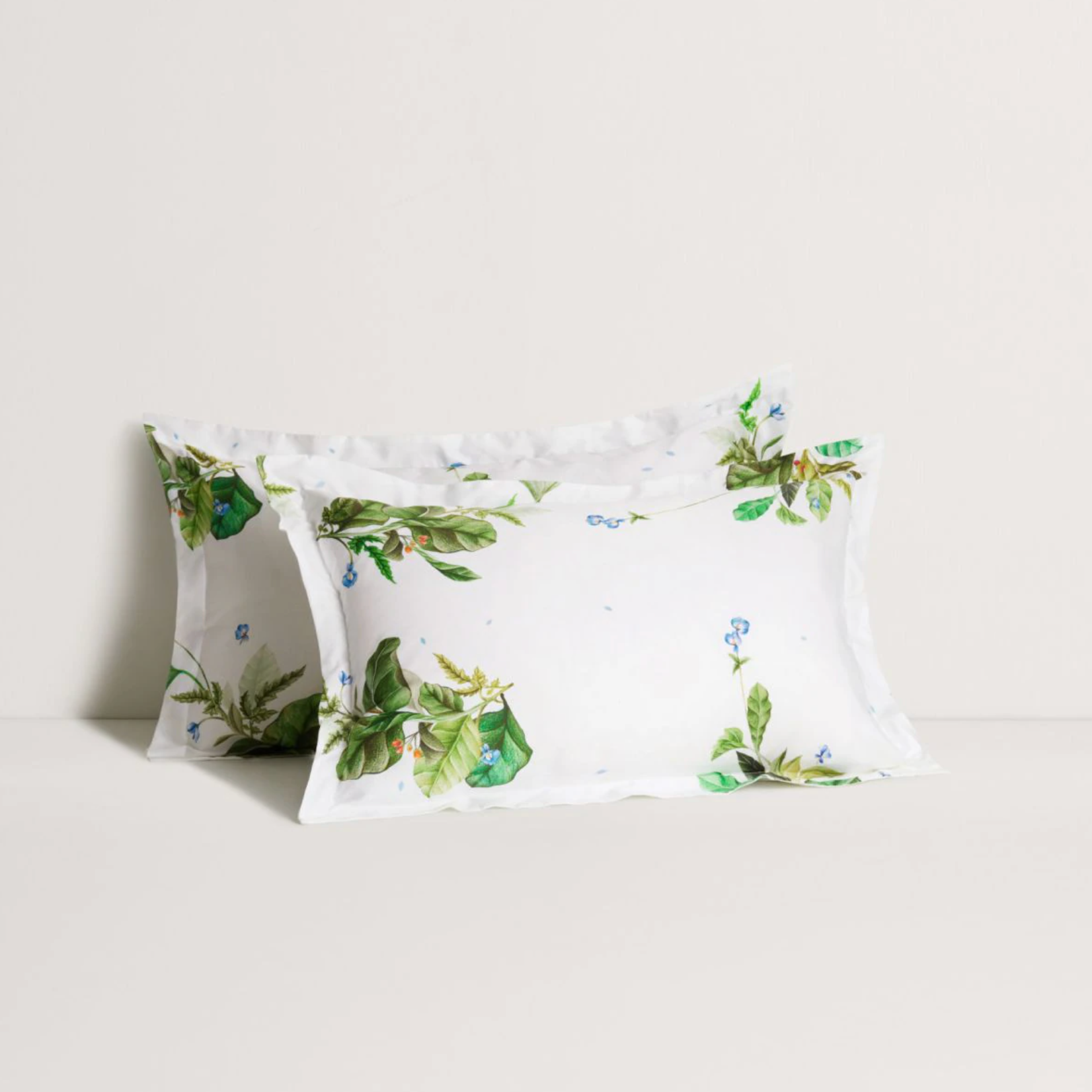 Ellerson Standard Pillowcase Pair