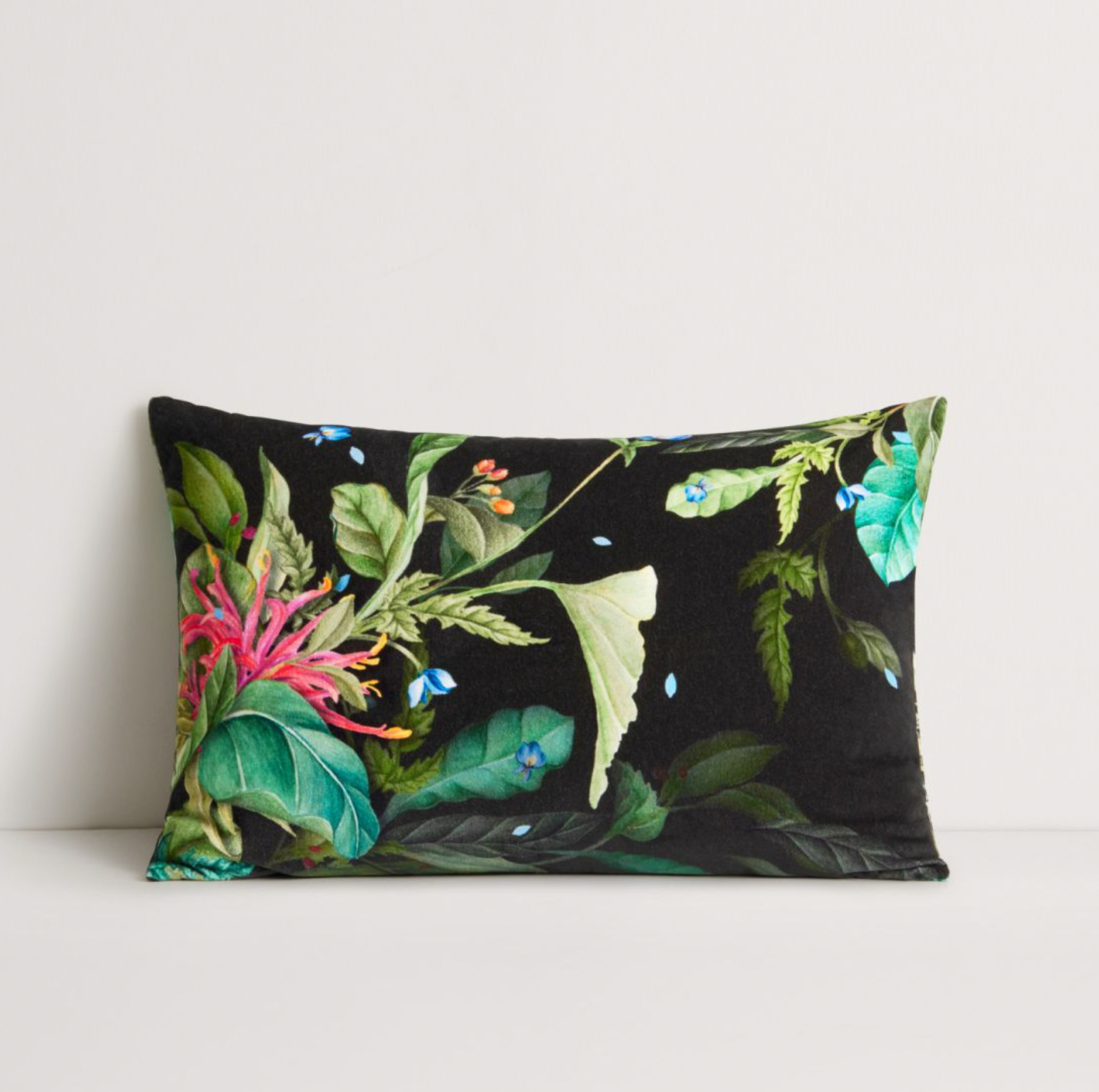 Sarae Breakfast Cushion