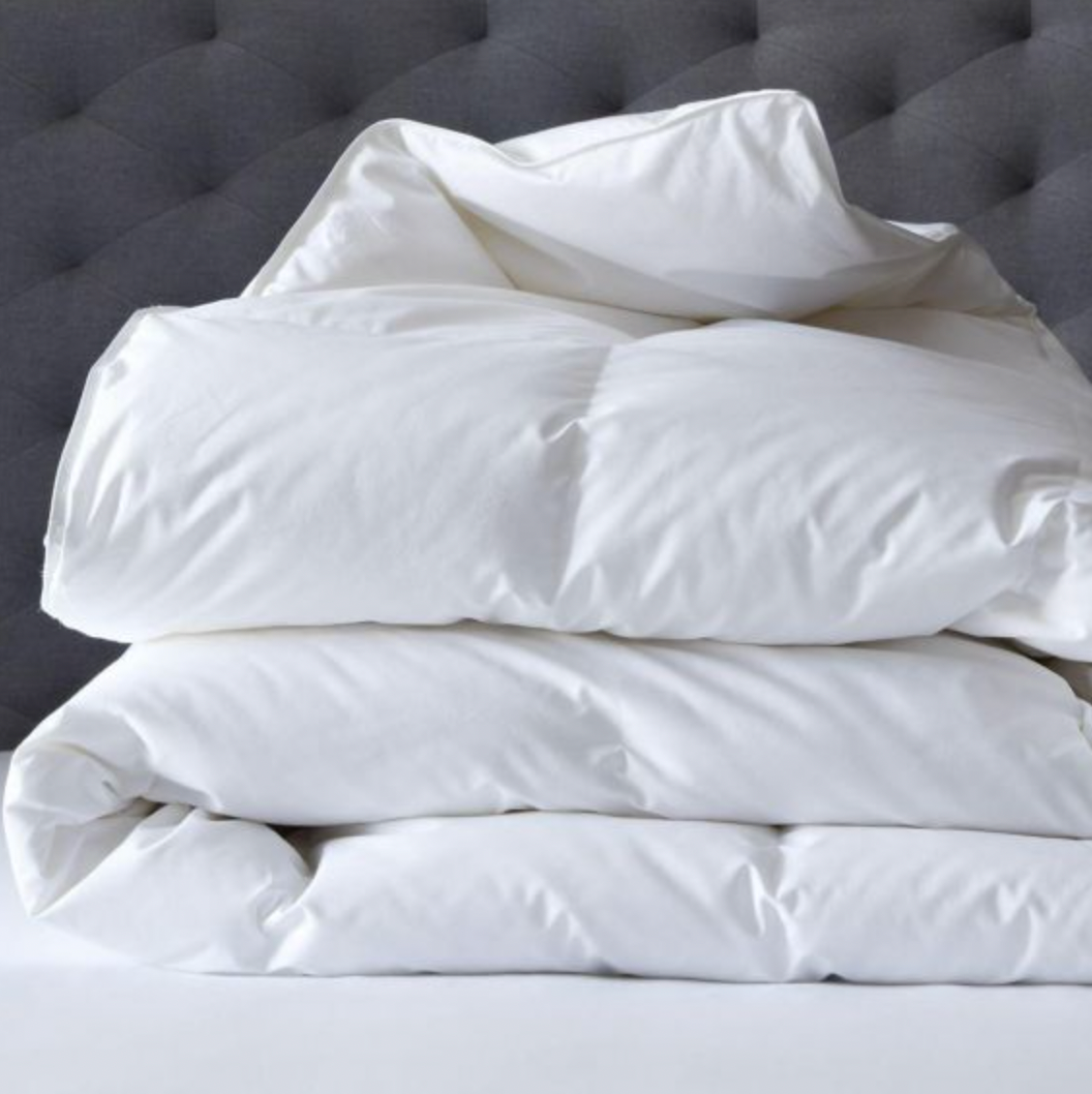 Renee Taylor 600 GSM Deluxe High Loft Quilt