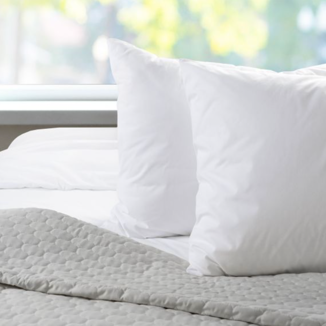 Renee Taylor Australian Made Down Alternate Standard Pillow