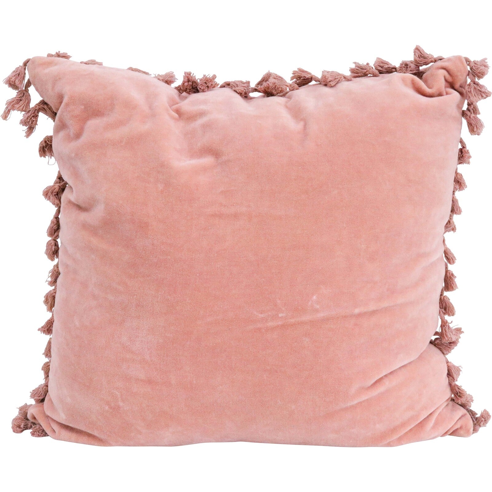 Velvet Tassel Salmon Cushion