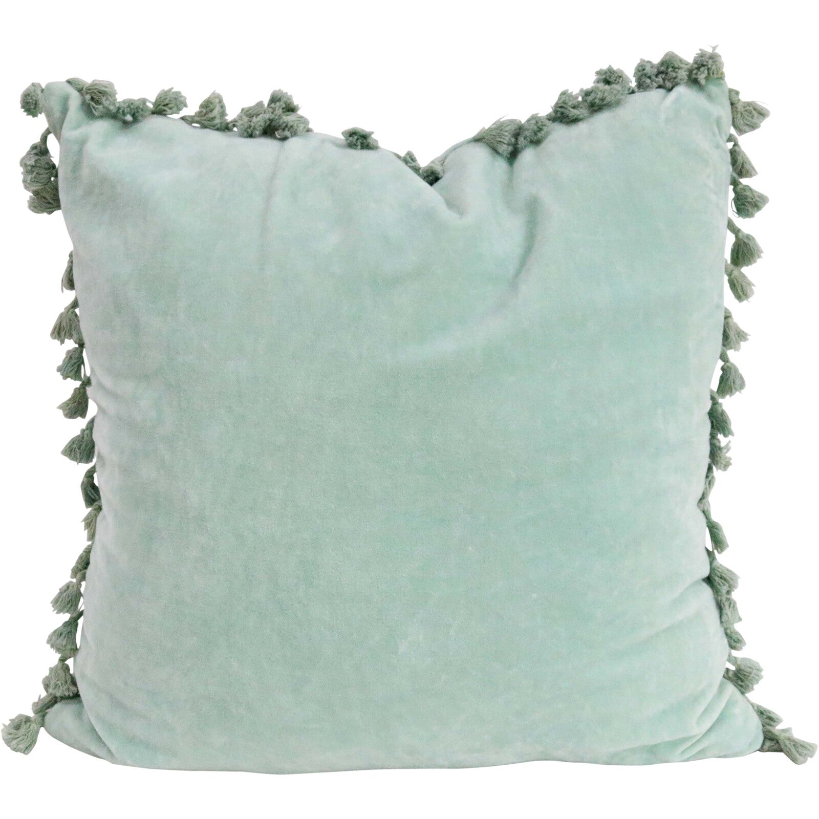 Velvet Tassel Sage Cushion