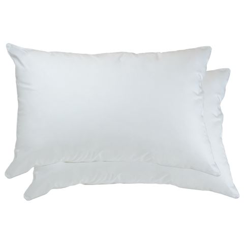 Cloud Support Twin Pack Pillows