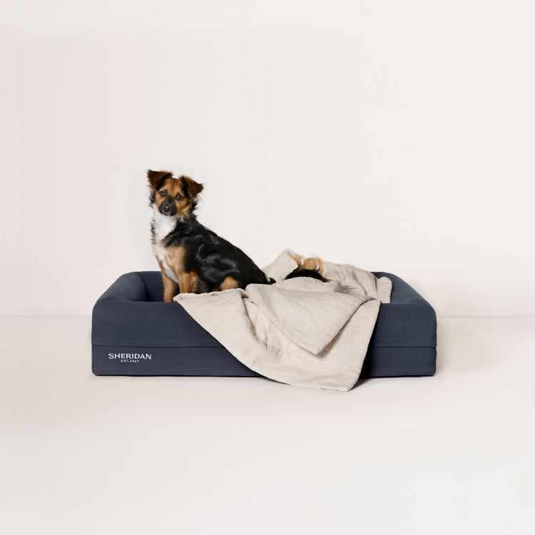 Abbotson Linen Pet Blanket