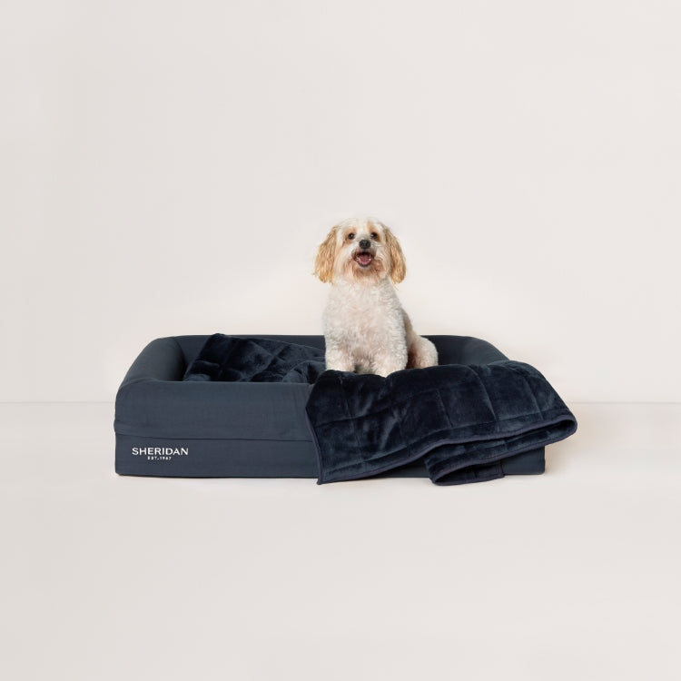 Poppet Pet Blanket