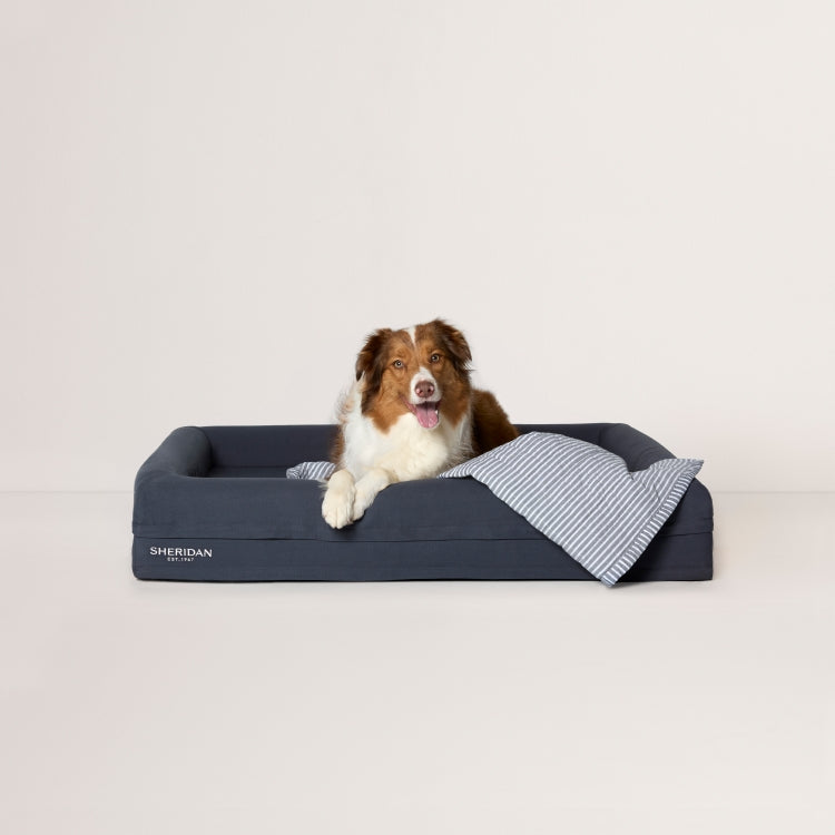 Reilly Pet Blanket
