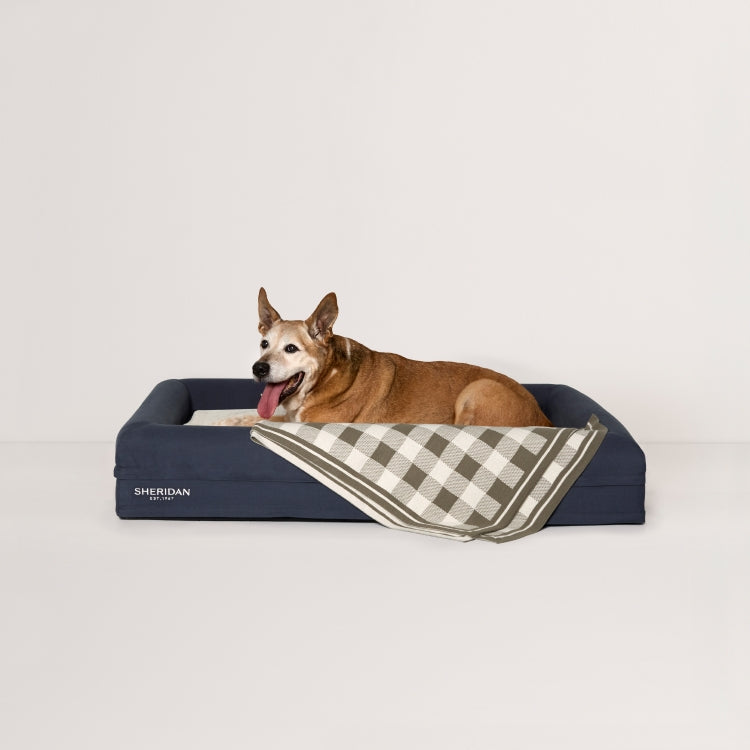 Scout Pet Blanket