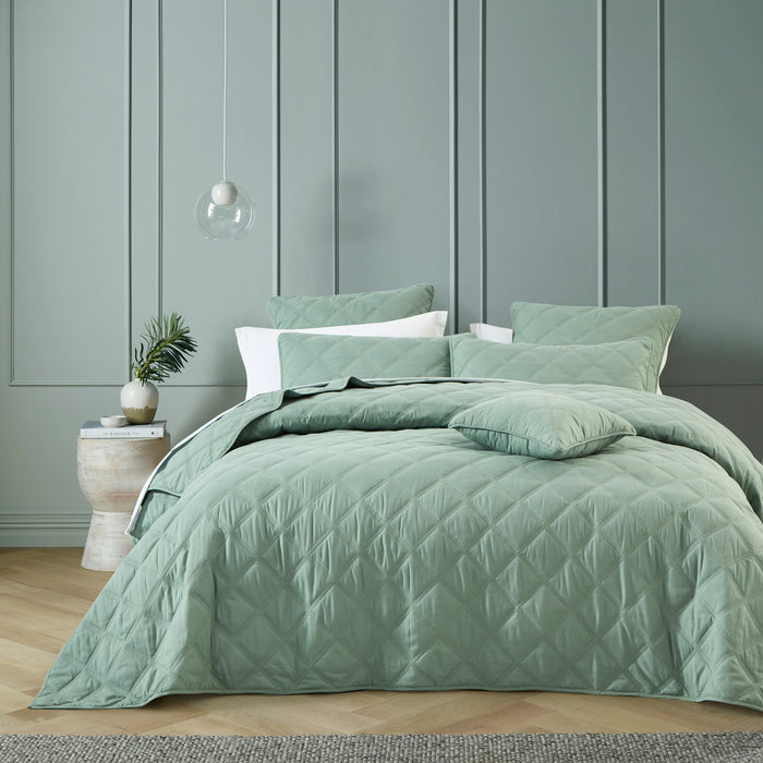 Barclay Coverlet Set Olive